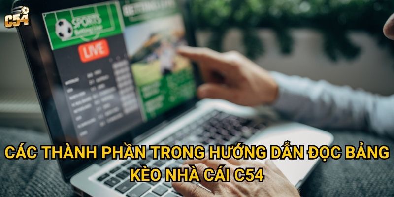 Các thành phần trong hướng dẫn đọc bảng kèo nhà cái C54