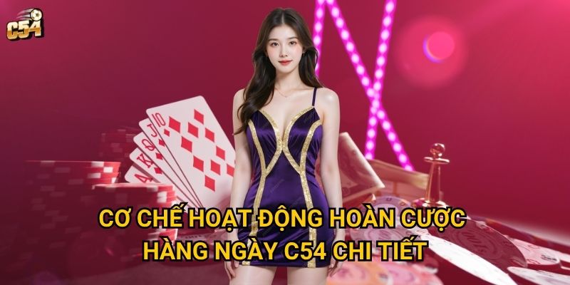 Cơ chế hoạt động hoàn cược hàng ngày C54 chi tiết