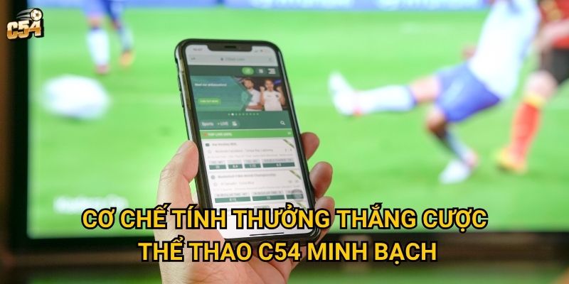 Cơ chế tính thưởng thắng cược thể thao C54 minh bạch